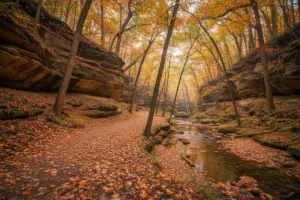 Shawnee National Forests Autumn Trail